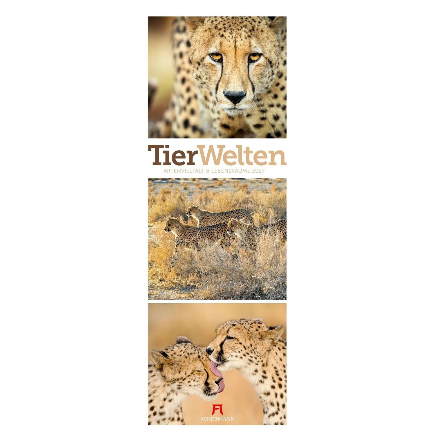 Ackermann Wandkalender Tierwelten Triplet-Kalender 2027, Artenvielfalt & Lebensräume