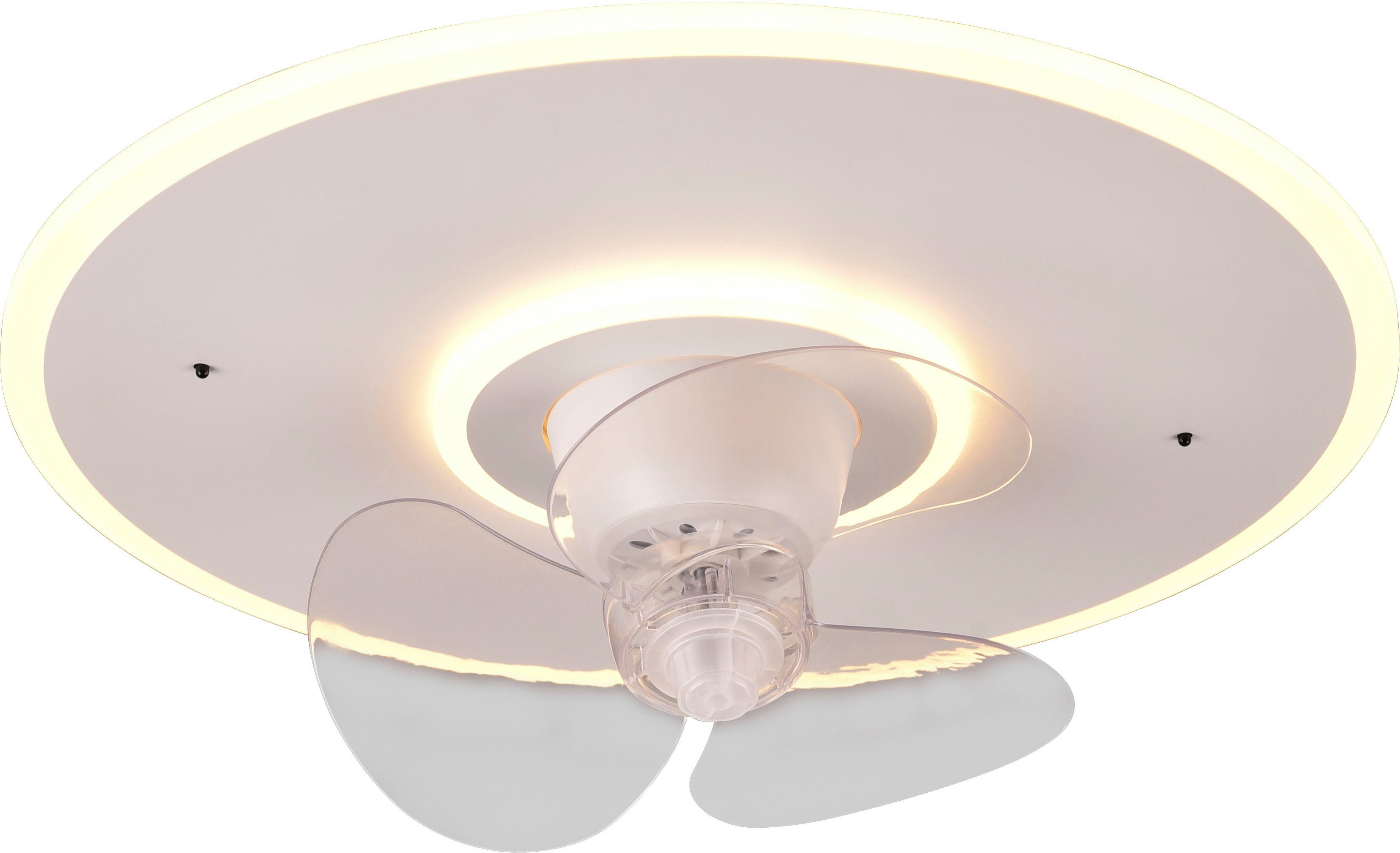 Reality Leuchten LED Deckenleuchte Nybro Deckenventilator, CCT - über Fernbedienung, Memoryfunktion, Ventilatorfunktion, LED fest integriert, warmweiß - kaltweiß, Deckenlampe, Ventilator 3 Stufen, Fernbedienung,Lichtfarbe einstellbar