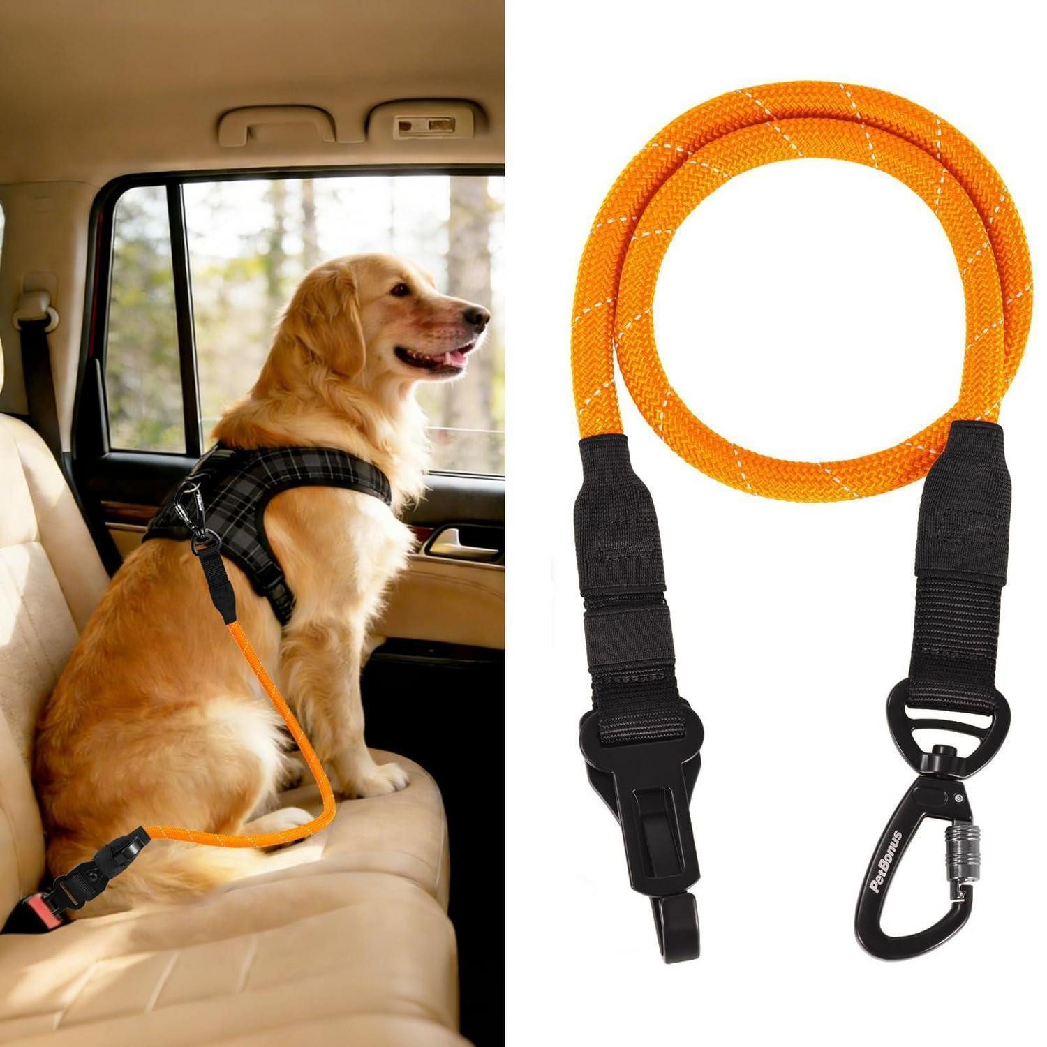 LuxusKollektion Autohundegeschirr Hundesicherheitsgurt Anschnallgurt Auto Schnallen Karabiner Orange