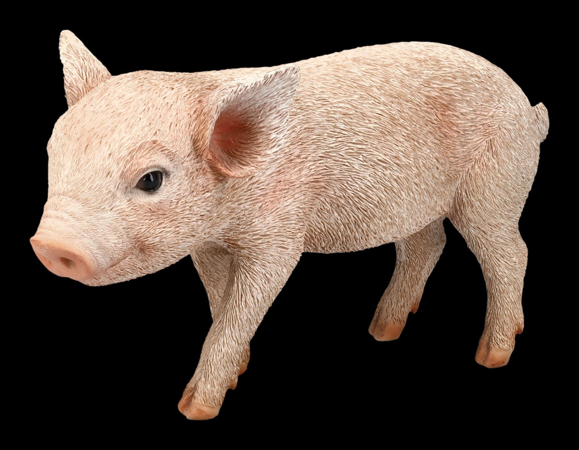 Figuren Shop GmbH Tierfigur Schweine Figur - Kleines Schweinchen ...