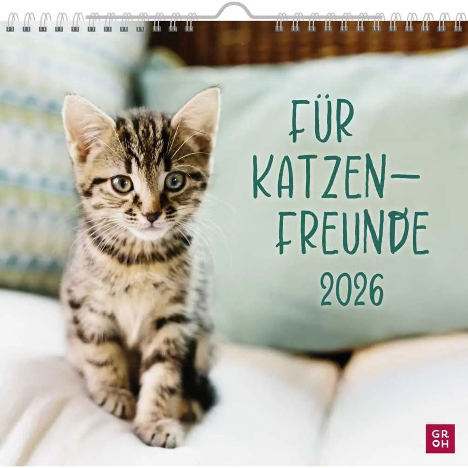 groh Verlag Wandkalender Wandkalender 2026: Für Katzenfreunde