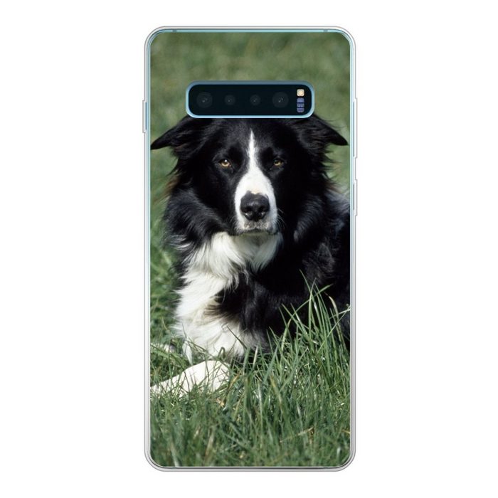 MuchoWow Handyhülle Border Collie liegt im hohen grünen Gras Phone Case Handyhülle Samsung Galaxy S10 Lite Silikon Schutzhülle