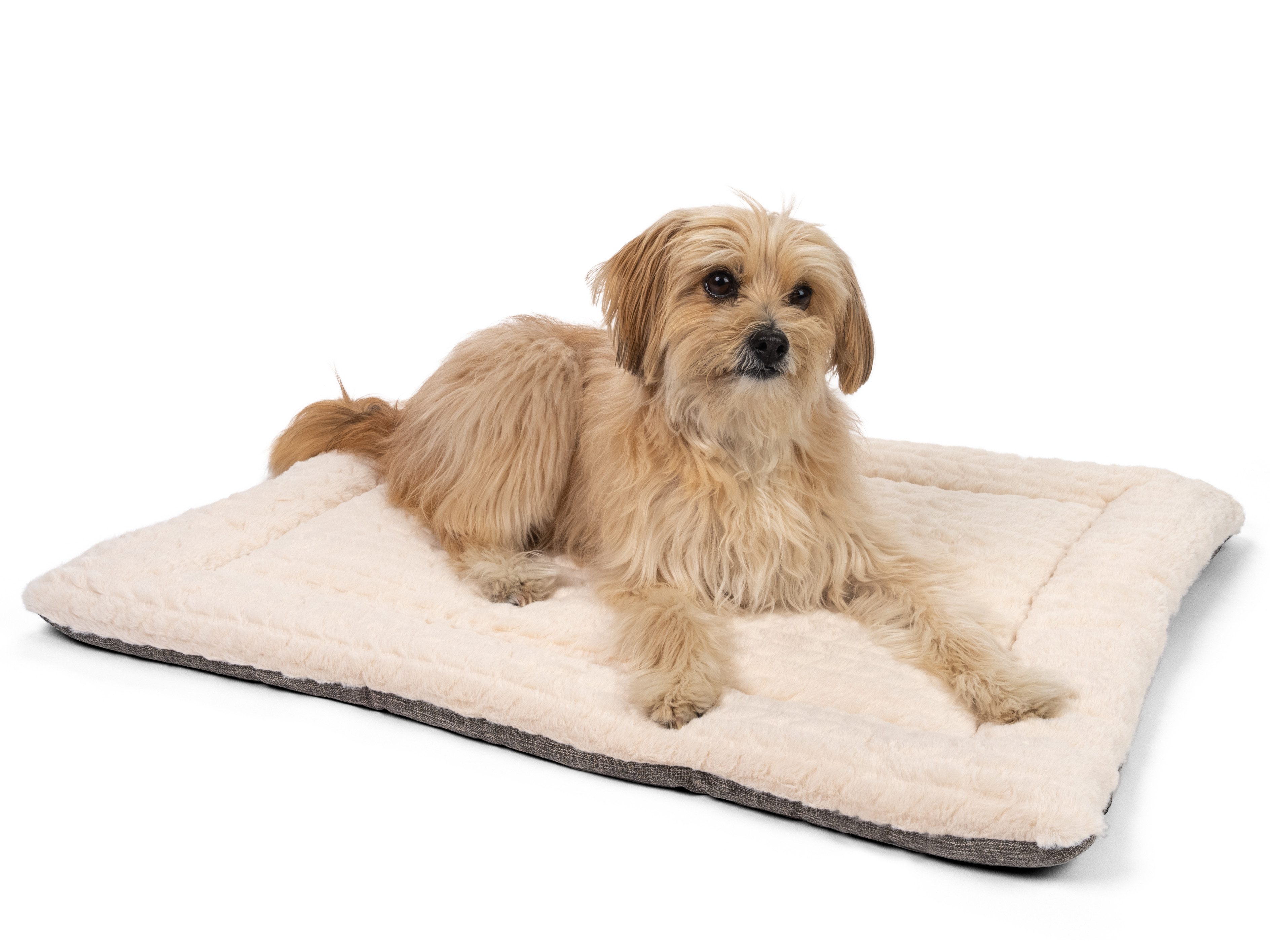 TrendPet Hundematte Hundedecke "Heaven" Beige, 100% Polyester, in 6 Größen günstig online kaufen