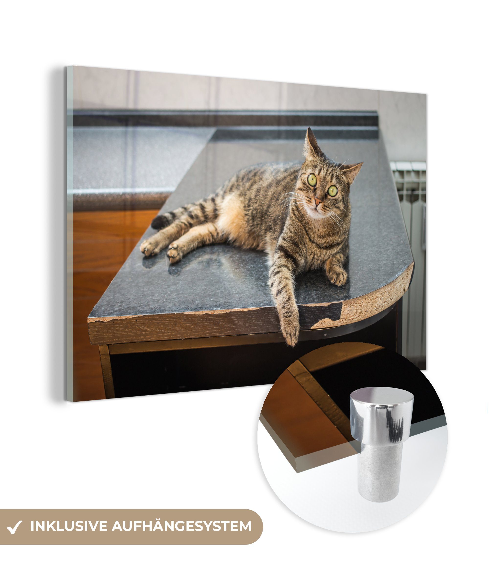 MuchoWow Acrylglasbild Eine Tigerkatze auf einem Holztisch liegend, (1 St), Acrylglasbilder Wohnzimmer & Schlafzimmer