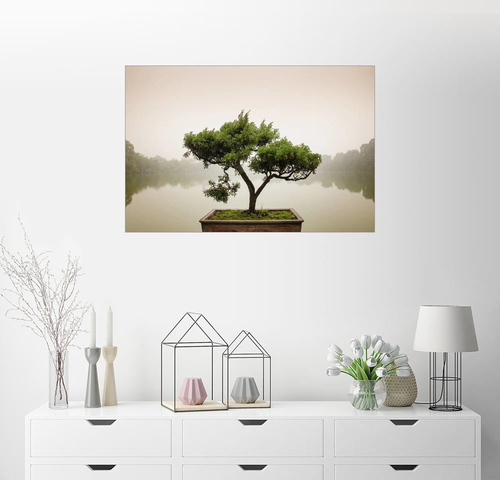 Zen Garten Preisvergleich Die Besten Angebote Online Kaufen
