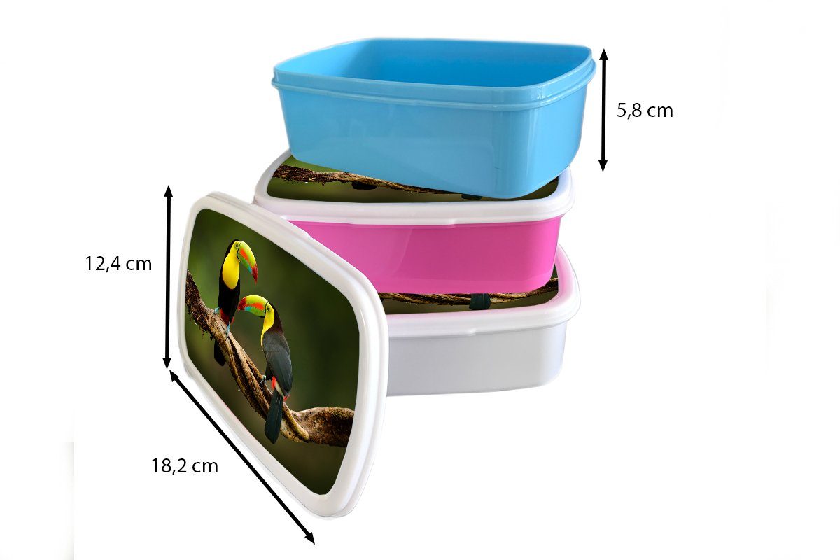 MuchoWow Lunchbox Vögel Jungs weiß und und - - Regenbogen, Kunststoff, für - Tukan Tiere Erwachsene, Mädchen Brotdose, Brotbox für Kinder Zweig (2-tlg), 