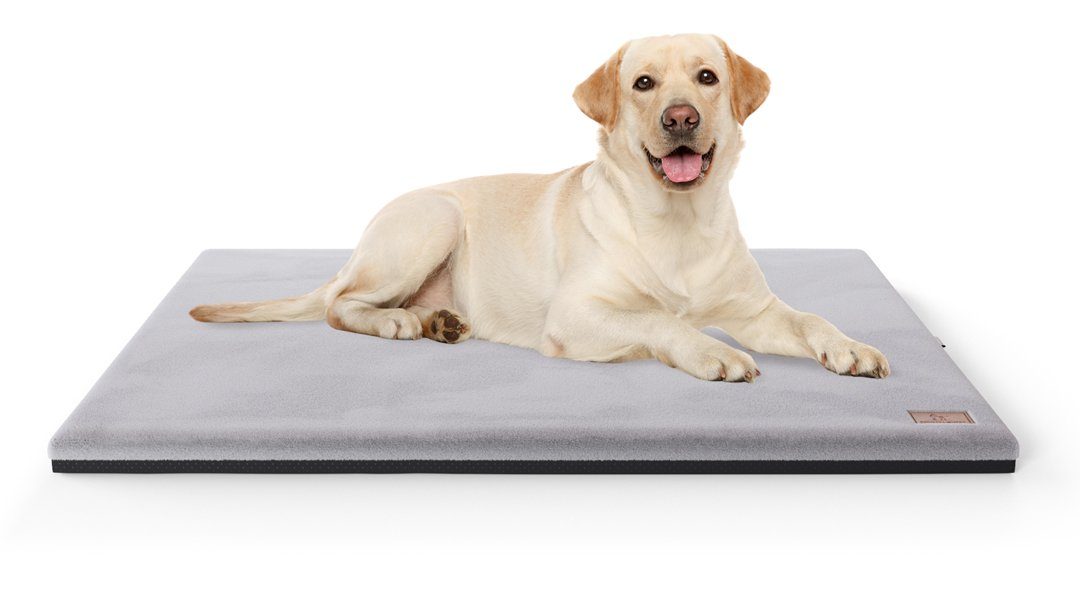 Knuffelwuff Hundematte Berrith, Orthopädisch