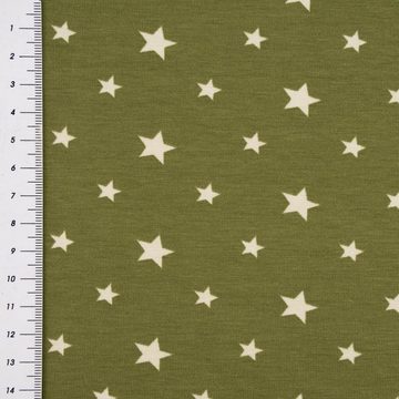 SCHÖNER LEBEN. Stoff Baumwolljersey Jerseystoff Sterne Sternchen grün 1,50m Breite, allergikergeeignet