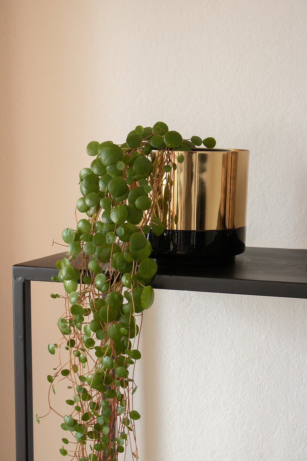 LaLe Living Blumentopf Koku in Gold/Schwarz Ø13,5 cm glänzend, aus Eisen mit Emaille-Beschichtung