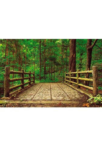  Картина »Waldbrücke«
