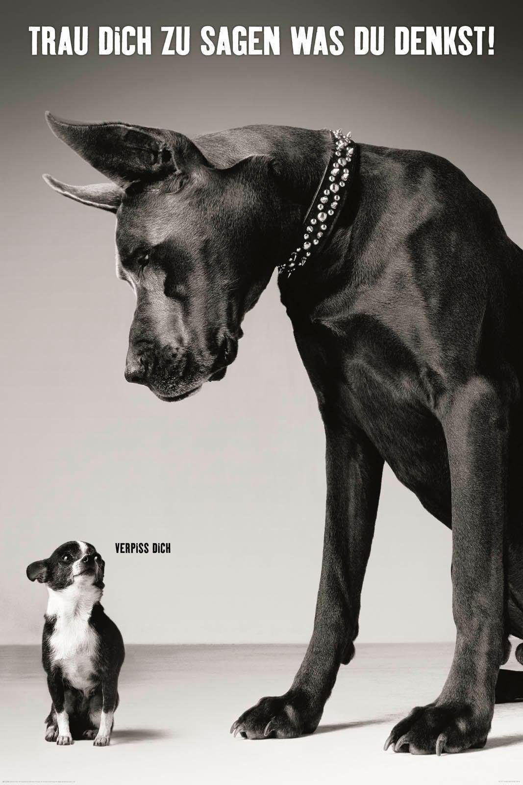 Deco-Panel »Großer und kleiner Hund«, Tiermotiv, Schriftzug, 60/90 cm