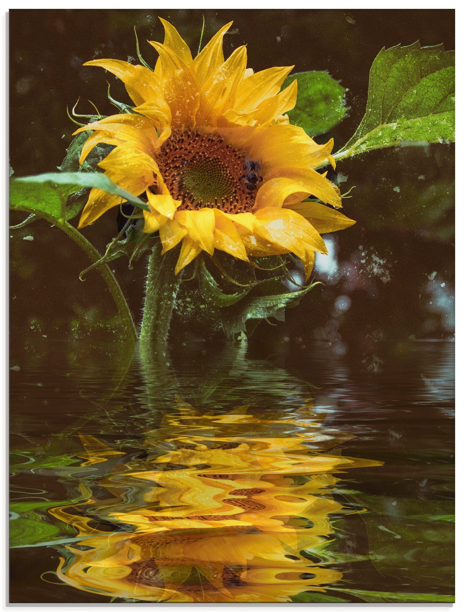 Artland Glasbild Sonnenblume mit Wasserspiegelung, Blumen (1 St), in verschiedenen Größen