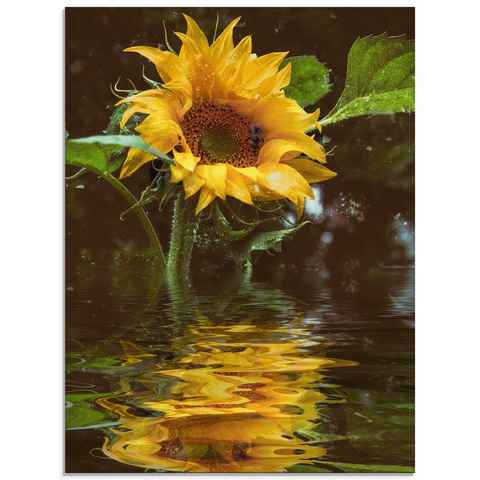 Artland Glasbild Sonnenblume mit Wasserspiegelung, Blumen (1 St), in verschiedenen Größen