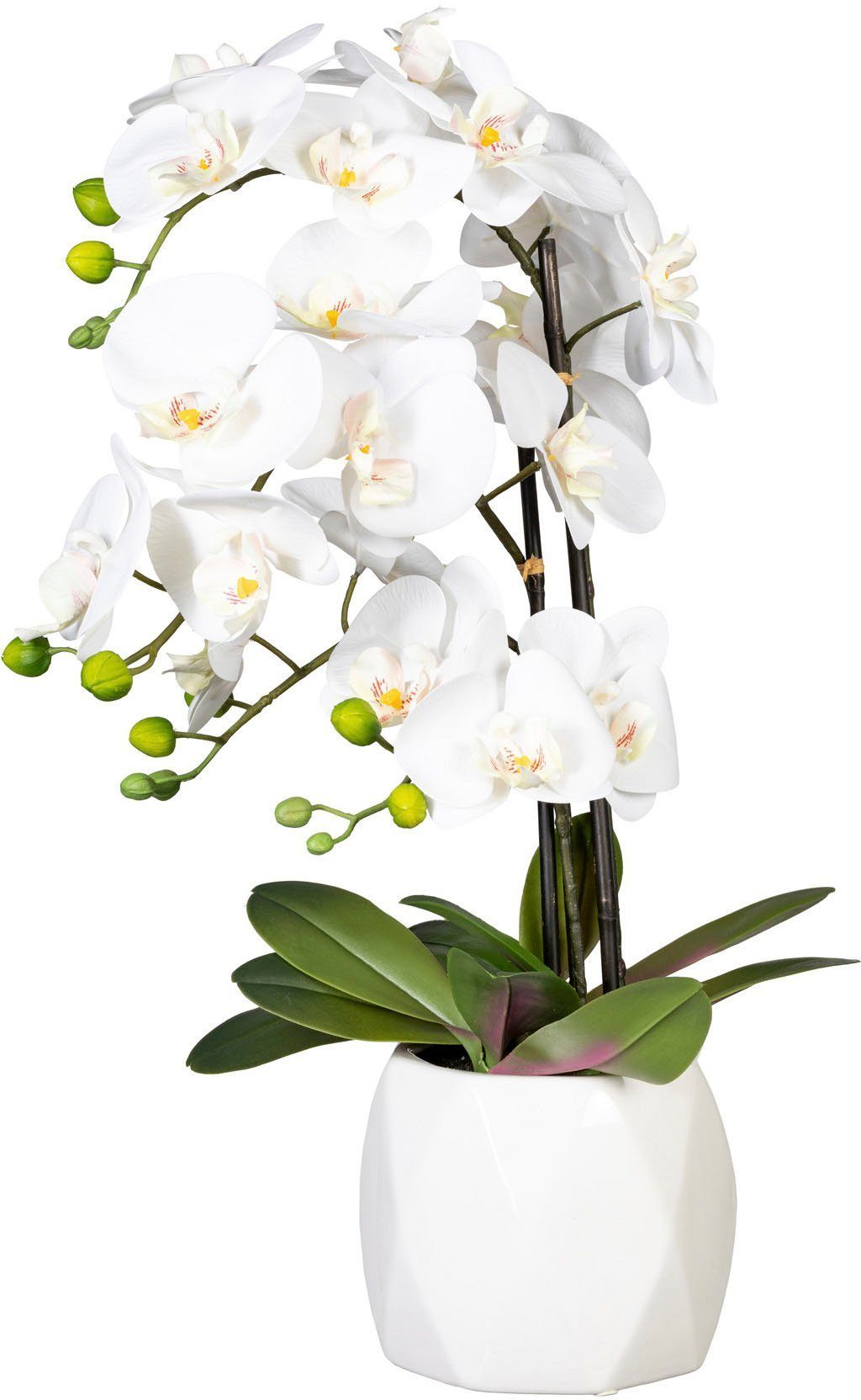 Kunstorchidee Deko-Orchidee Phalaenopsis im Keramiktopf Orchidee Phalaenopsis, Creativ green, Höhe 60 cm | Kunstorchideen