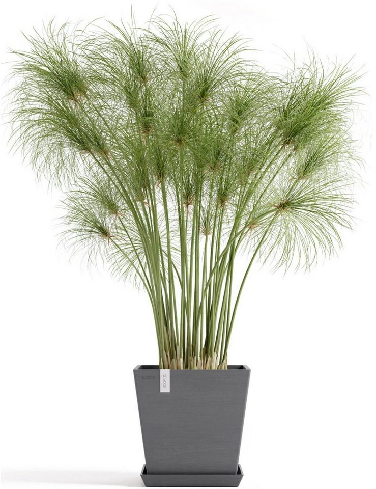 Thumbnail - ECOPOTS Blumentopf Rotterdam 25 + Wassersystem Grau, für innen und außen: frostsicher, bruchsicher und lichtbeständig