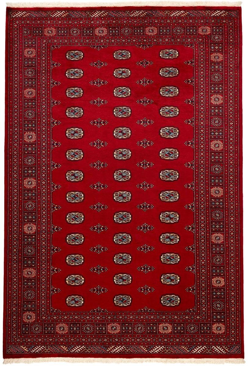 Orientteppich Pakistan Buchara 2ply 189x281 Handgeknüpfter Orientteppich, Nain Trading, rechteckig, Höhe: 8 mm