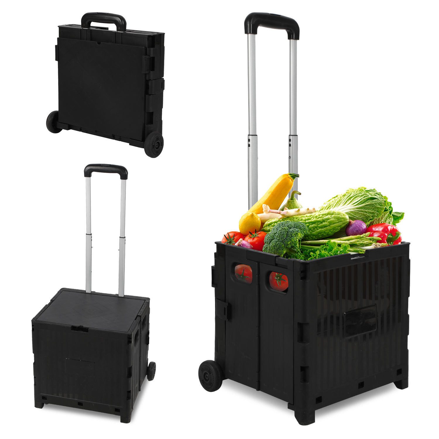 Clanmacy Einkaufstrolley Einkaufstrolley Faltbarer 2 Rädern Transportwagen mit Deckel Schwarz, 45 l