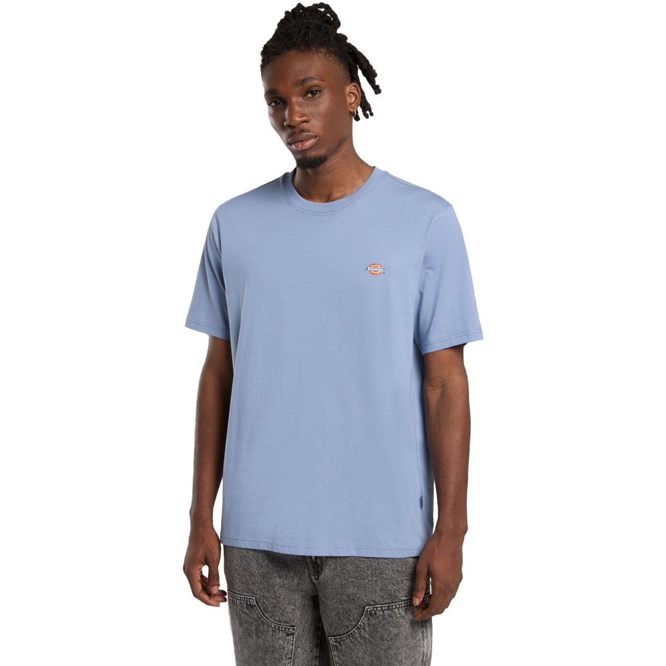 Dickies T-Shirt MAPLETON TEE MAPLETON TEE