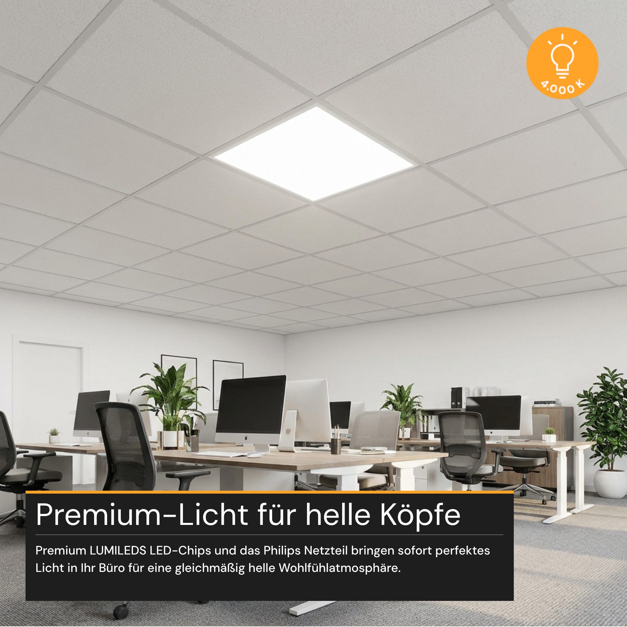 ENOVALITE LED Rasterleuchte ENOVALITE LED Panel 36 W 4000 K neutralweiß, LED fest integriert, Neutralweiß