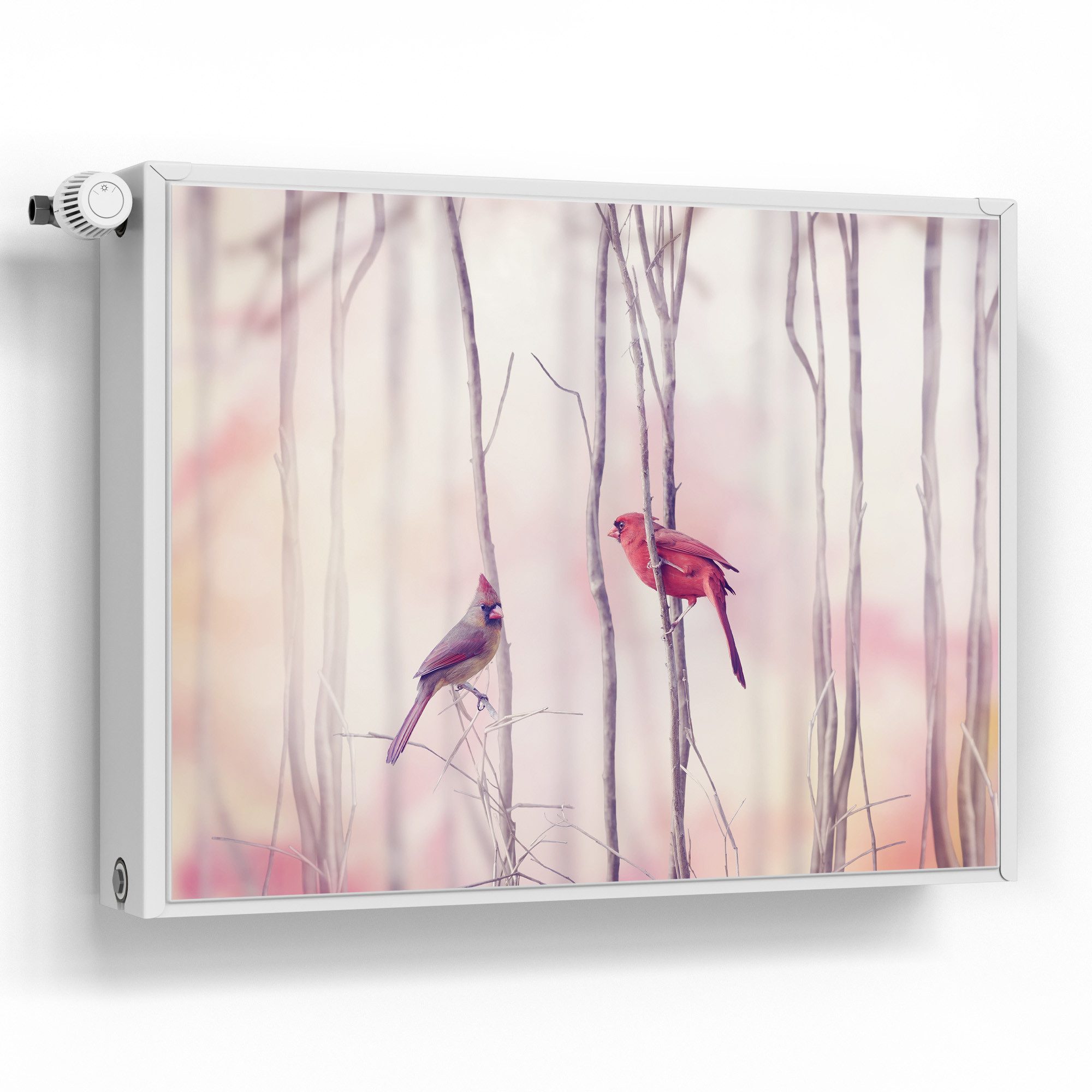 DEQORI Magnetfolie 'Gefiederte Freunde', beschreibbar Heizung Magnetmatte magnetisch Magnetfolie