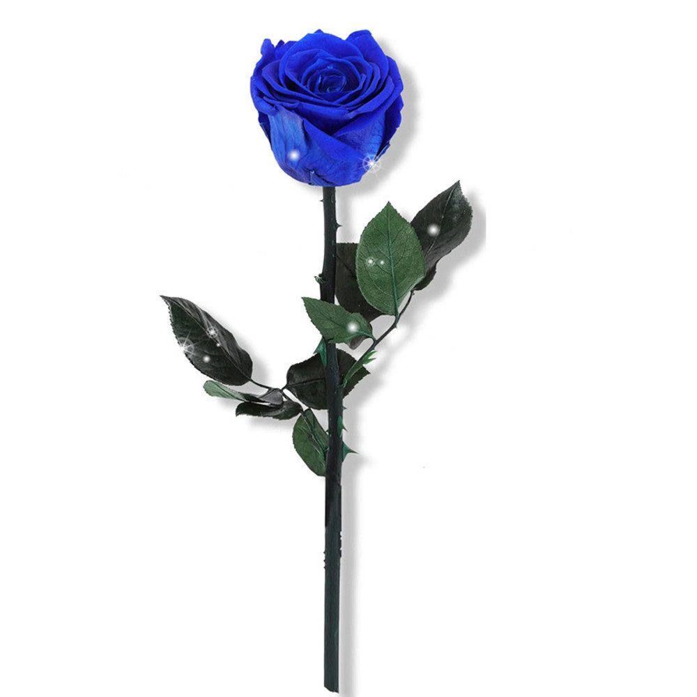 Kunstblume Eternal Rose,Rosen Geschenk für Ehefrau,Rose Blumen, XDeer, Blum günstig online kaufen