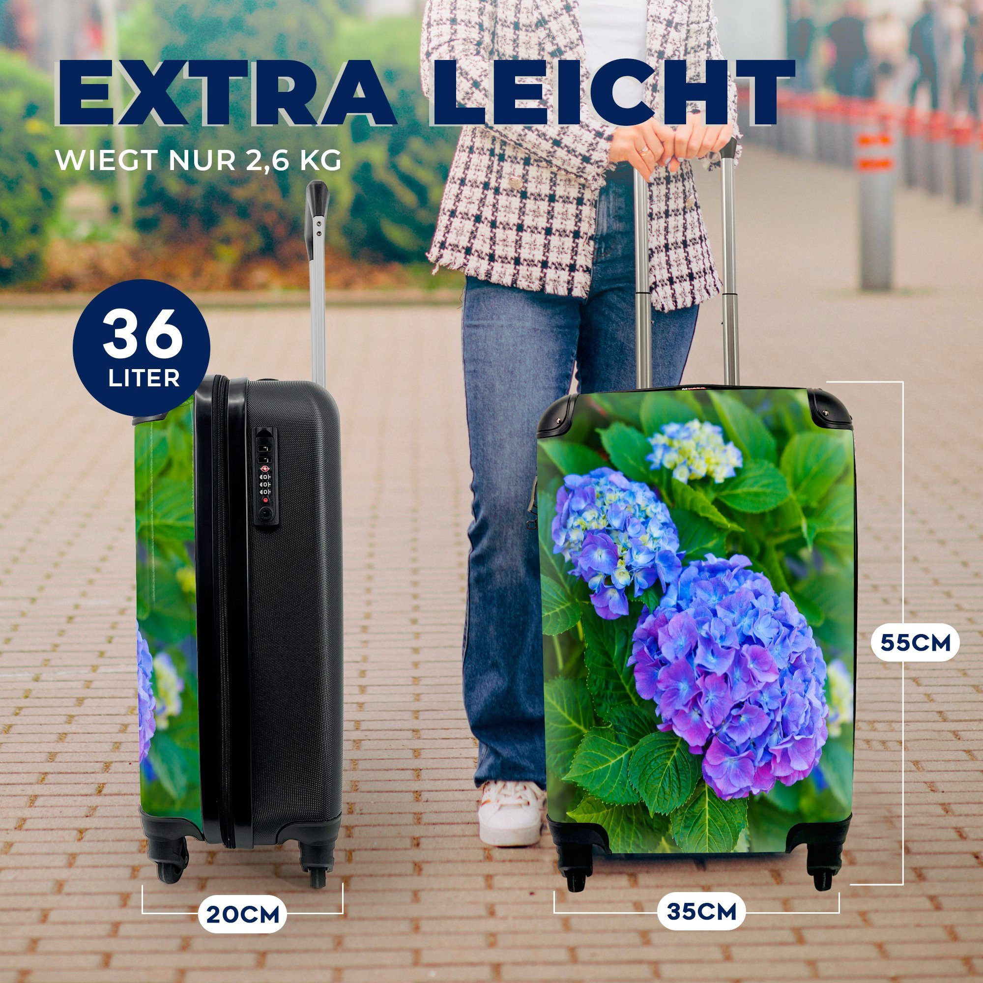 für 4 MuchoWow violett-blauen Hortensie, Nahaufnahme Handgepäck rollen, Rollen, Reisekoffer Ferien, einer Reisetasche mit Handgepäckkoffer Trolley,