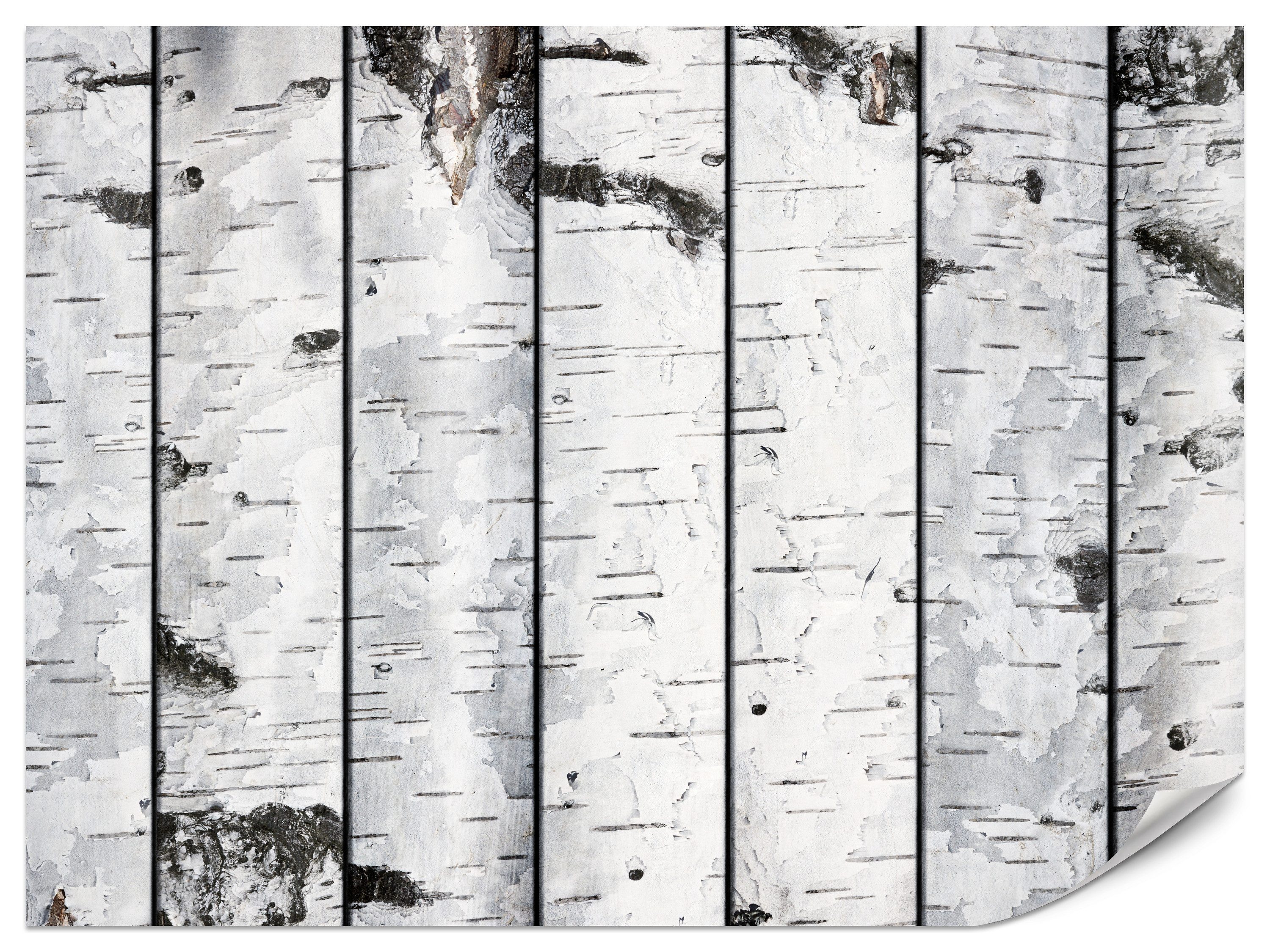 Muralo Fototapete Vliestapete - Helle Birkenrinde in natürlicher Holzoptik, Glatt, Grafisch, (Packung, 1 St., 100x70 cm), Kleber im Set, 3D-Optik, Ins Schlafzimmer