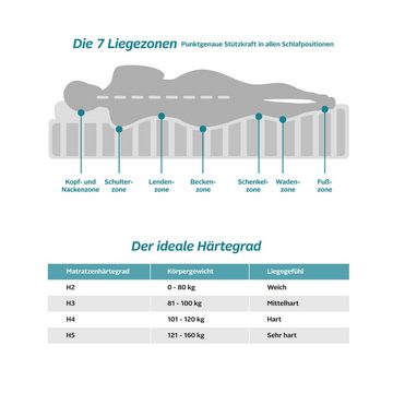 Komfortschaummatratze 7-Zonen, Matratze in 90x200, 140x200 cm und weiteren Größen, my home, 16 cm hoch, (1 oder 2-tlg), Matratzen H2/H3/H4, ergonomisch, atmungsaktiv