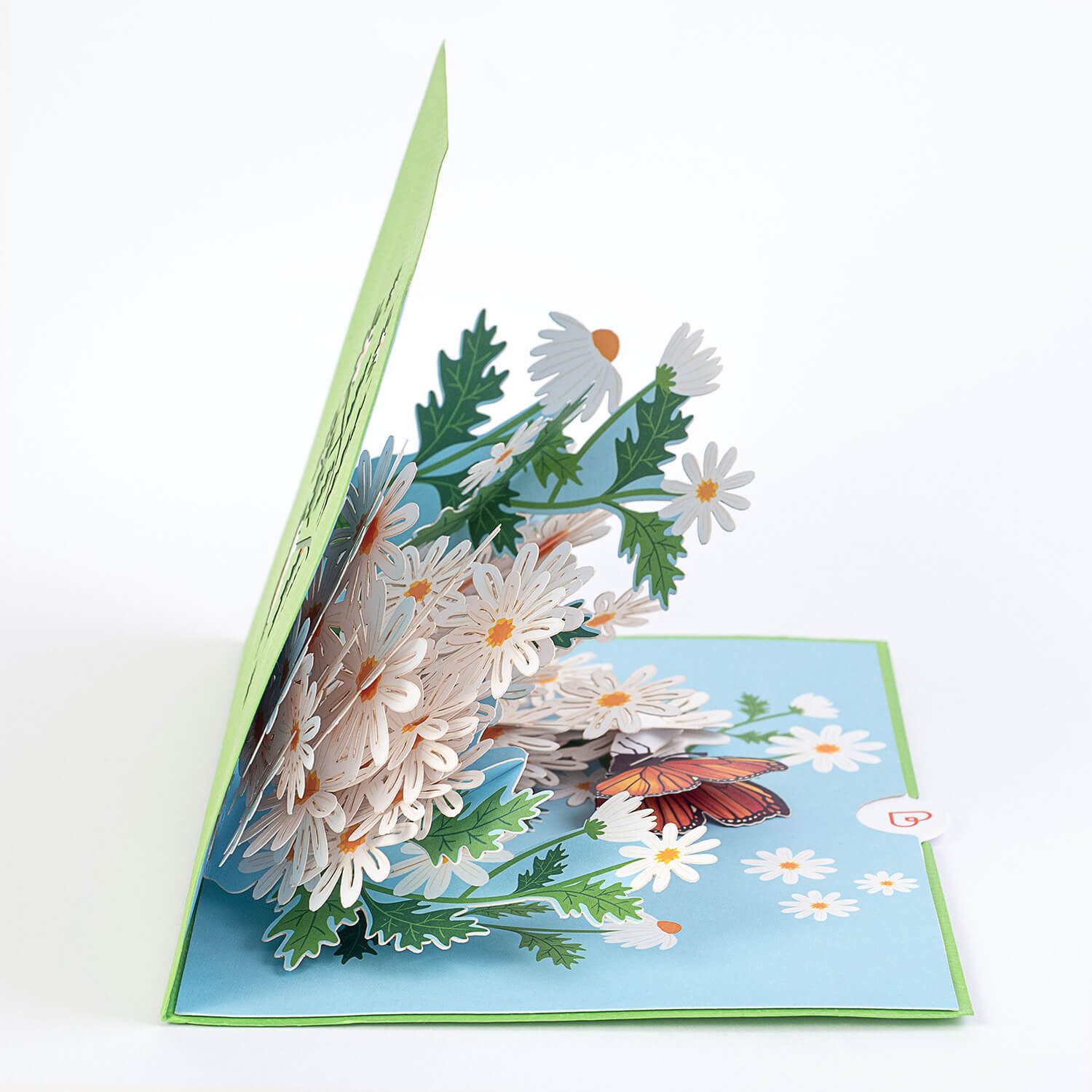 papercrush Geburtstagskarte Gänseblümchen mit Schmetterling Pop-Up Karte