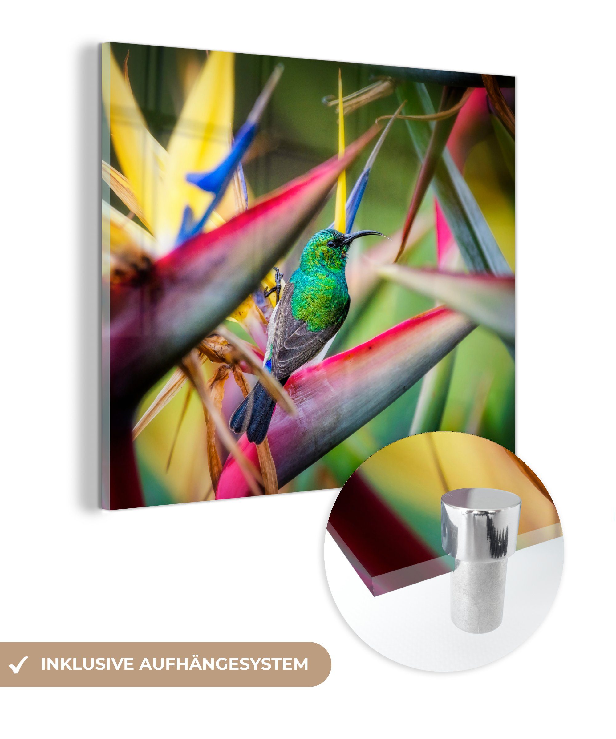 MuchoWow Acrylglasbild Bunter Vogel zwischen all den bunten Tellern, (1 St), Glasbilder - Bilder auf Glas Wandbild - Foto auf Glas - Wanddekoration