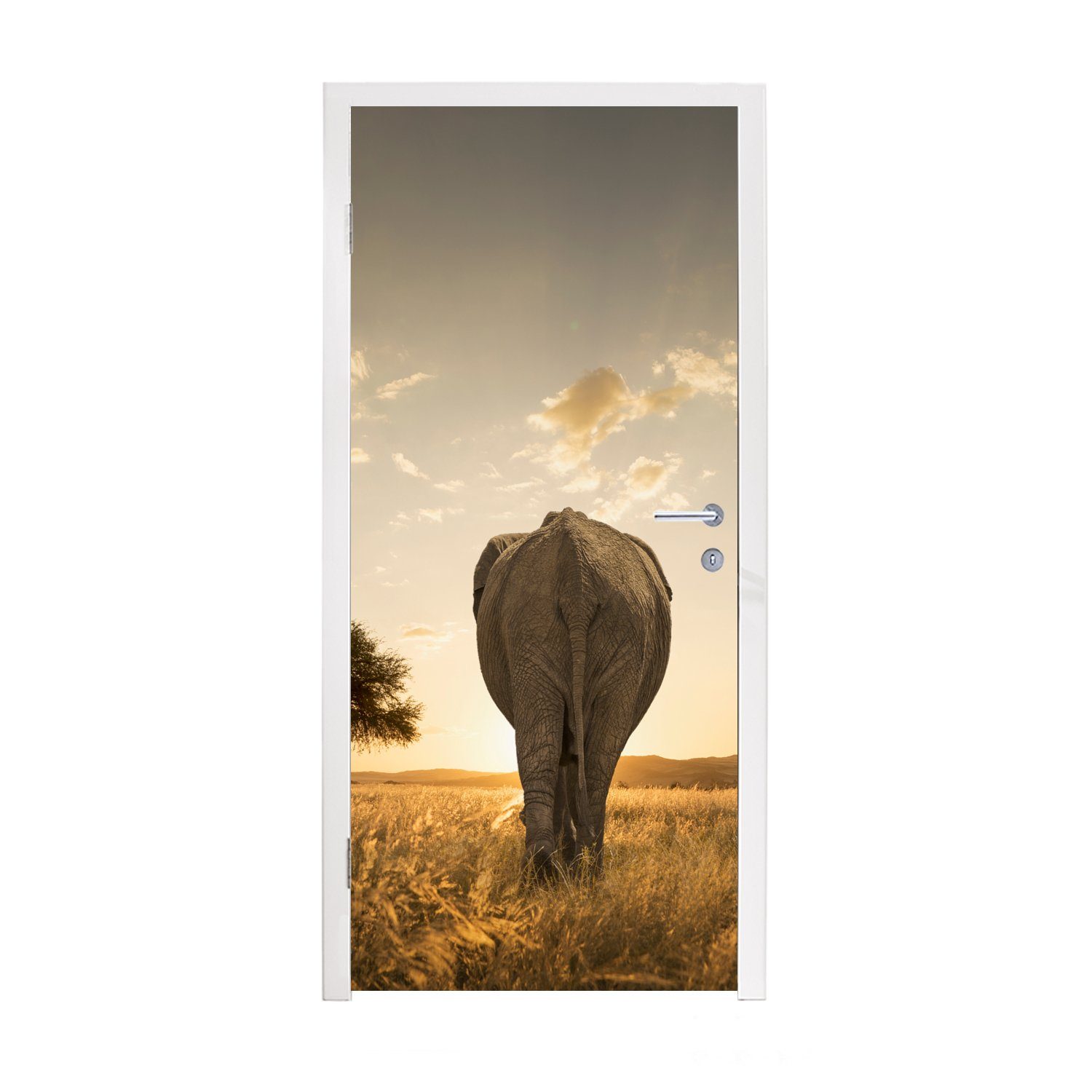 MuchoWow Türtapete und Fototapete Türaufkleber, cm Tür, Elefanten für bedruckt, für (1 Savanne Matt, 75x205 Kälber, St)