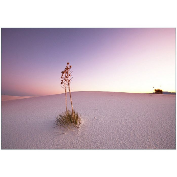 Wallario Vliestapete Kleine Oase in der Wüste Seidenmatte Oberfläche hochwertiger Digitaldruck in verschiedenen Größen erhältlich