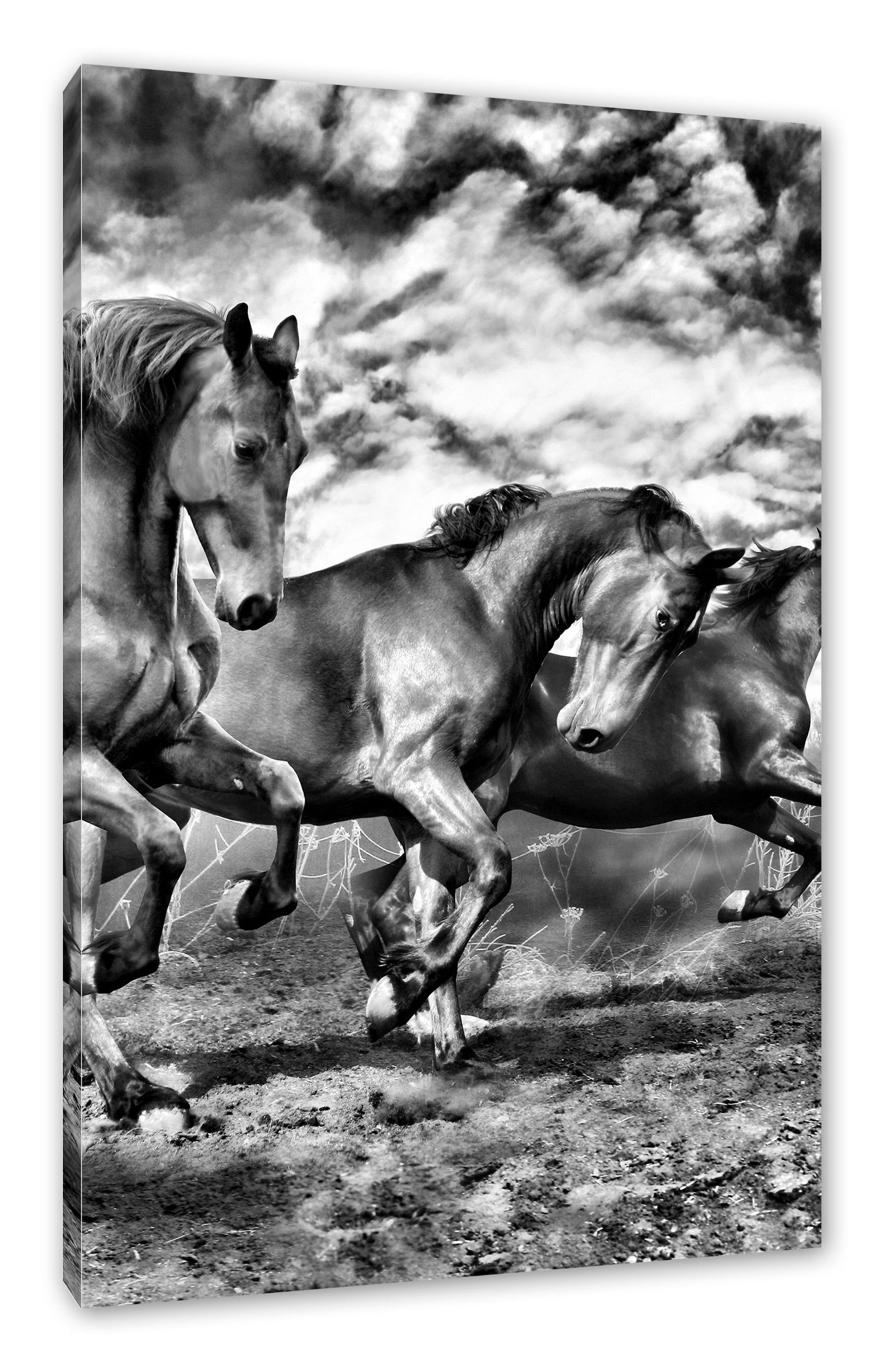 Pixxprint Zackenaufhänger Leinwandbild Wildpferde Wildpferde, Leinwandbild inkl. (1 fertig St), bespannt,
