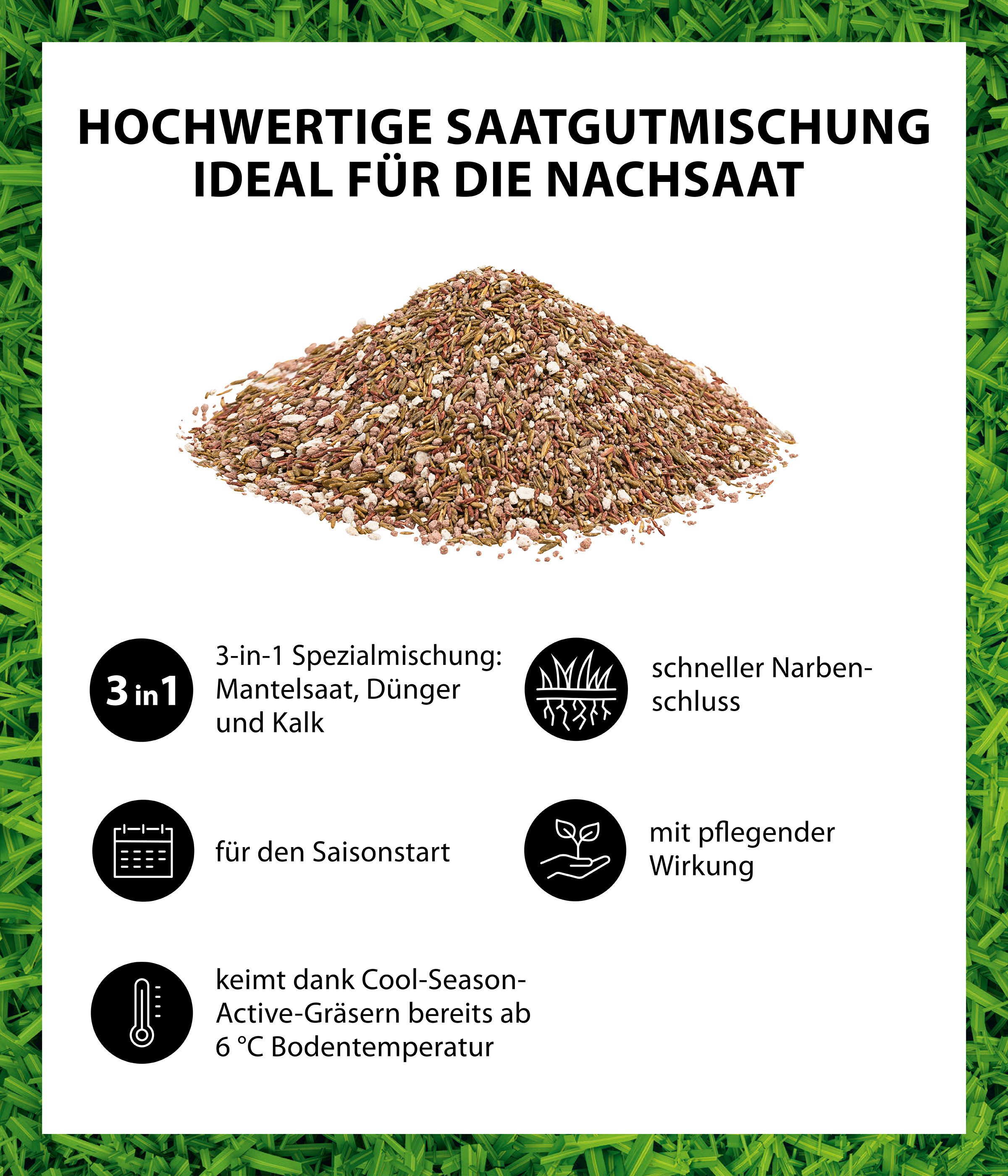 Dehner Rasensamen Frühjahrs-Nachsaat Saatgut, schnell keimend, regeneriert, 750 g, 25 m², Für Lückenschließung nach dem Winter, nährstoffreich, dichten Rasen