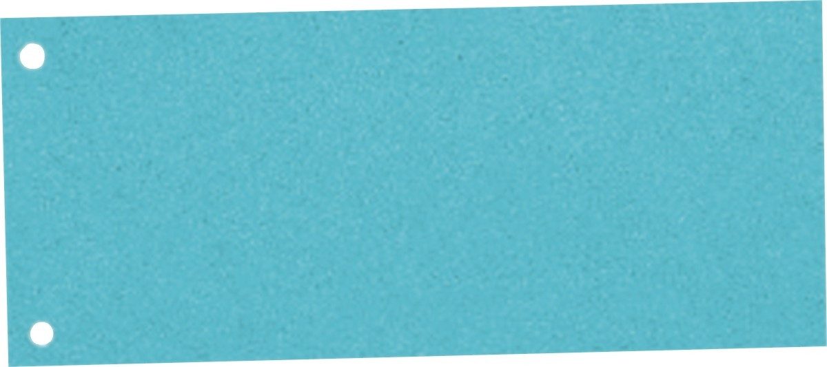ESSELTE Aktenordner Trennstreifen 10,5x24cm VE=100 Stück blau