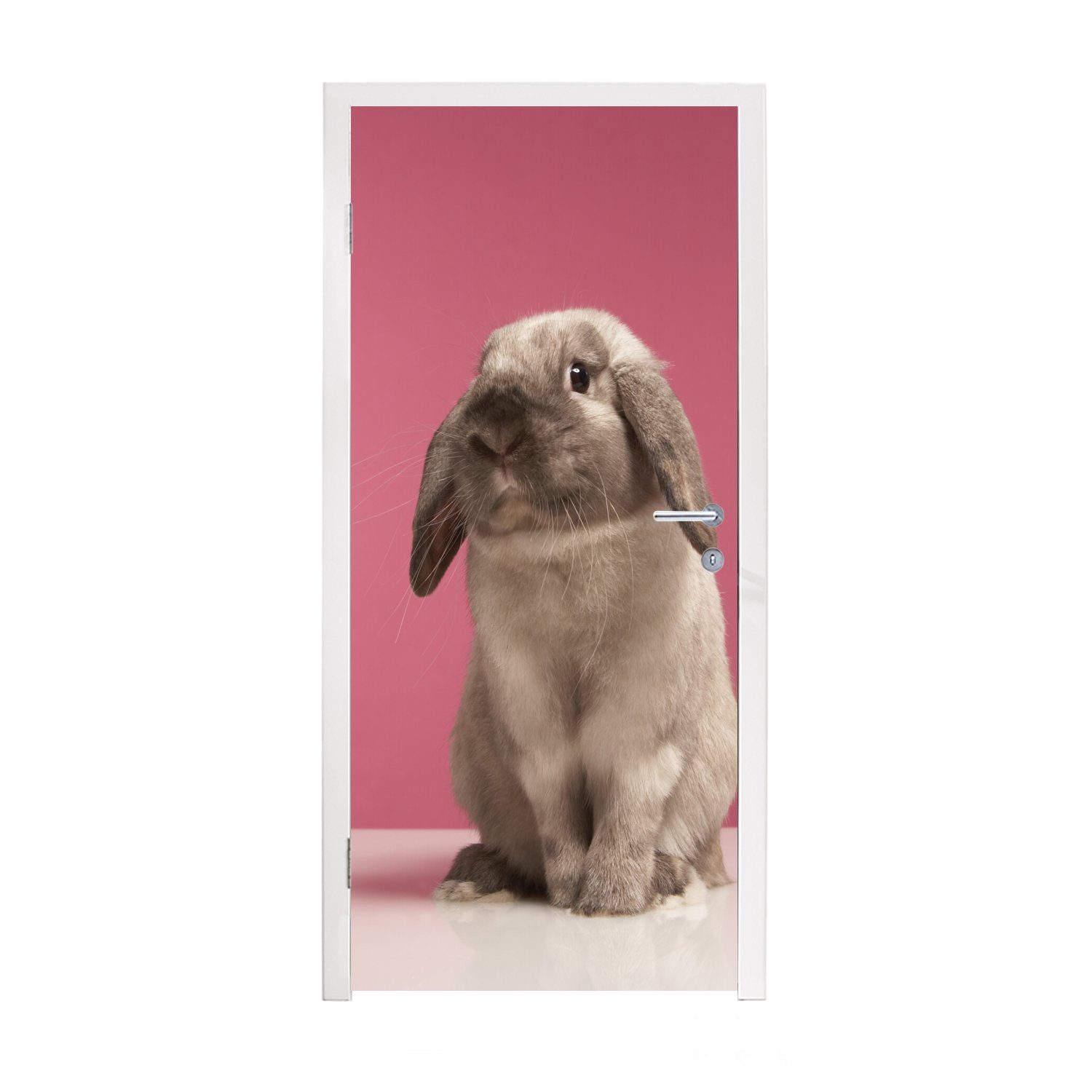 - Türaufkleber, Türtapete MuchoWow Rosa, für Fototapete bedruckt, Tür, Tier (1 Matt, St), - Kaninchen cm 75x205