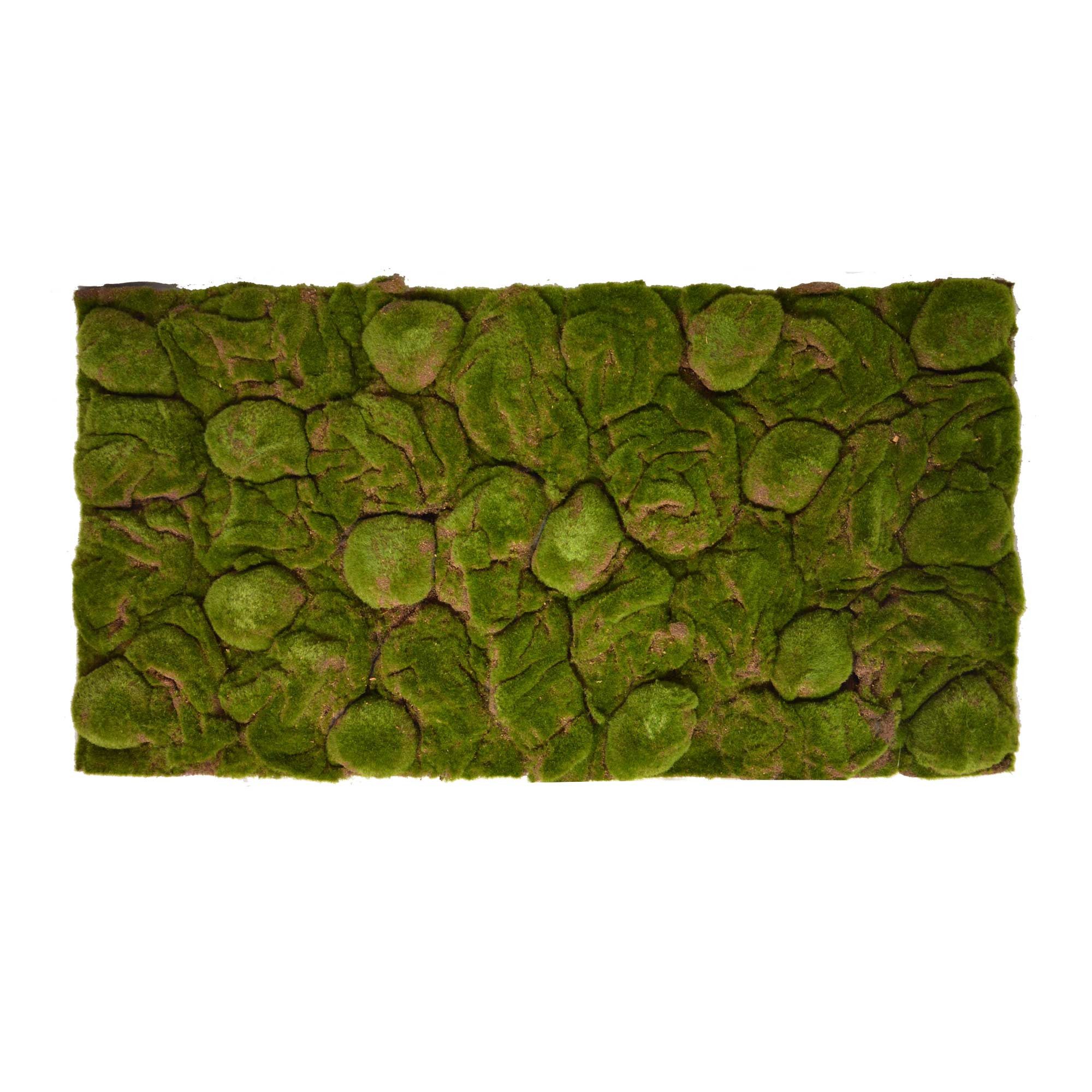 Terrarium Terrarium Rückwände für 120x60cm Terrarien