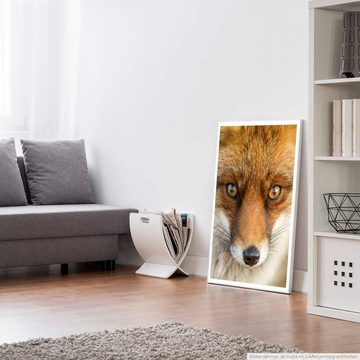 Sinus Art Poster Roter europäischer Fuchs 60x90cm Poster