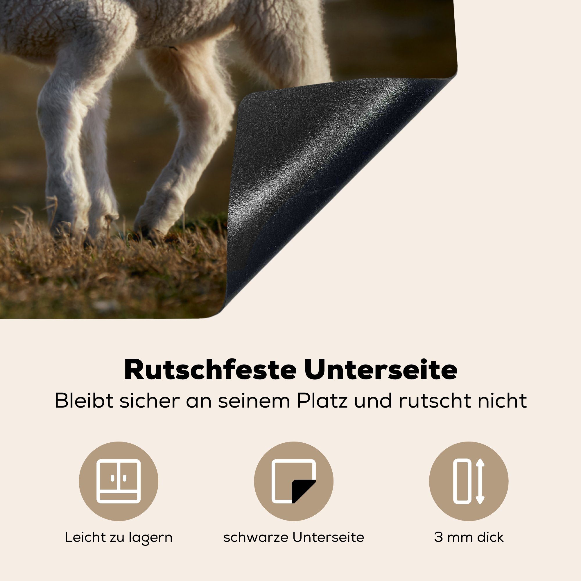 MuchoWow Herdblende-/Abdeckplatte Schaf cm, Lamm die für 81x52 (1 Induktionskochfeld - Ceranfeldabdeckung küche, Schutz - Gras, Vinyl, tlg)