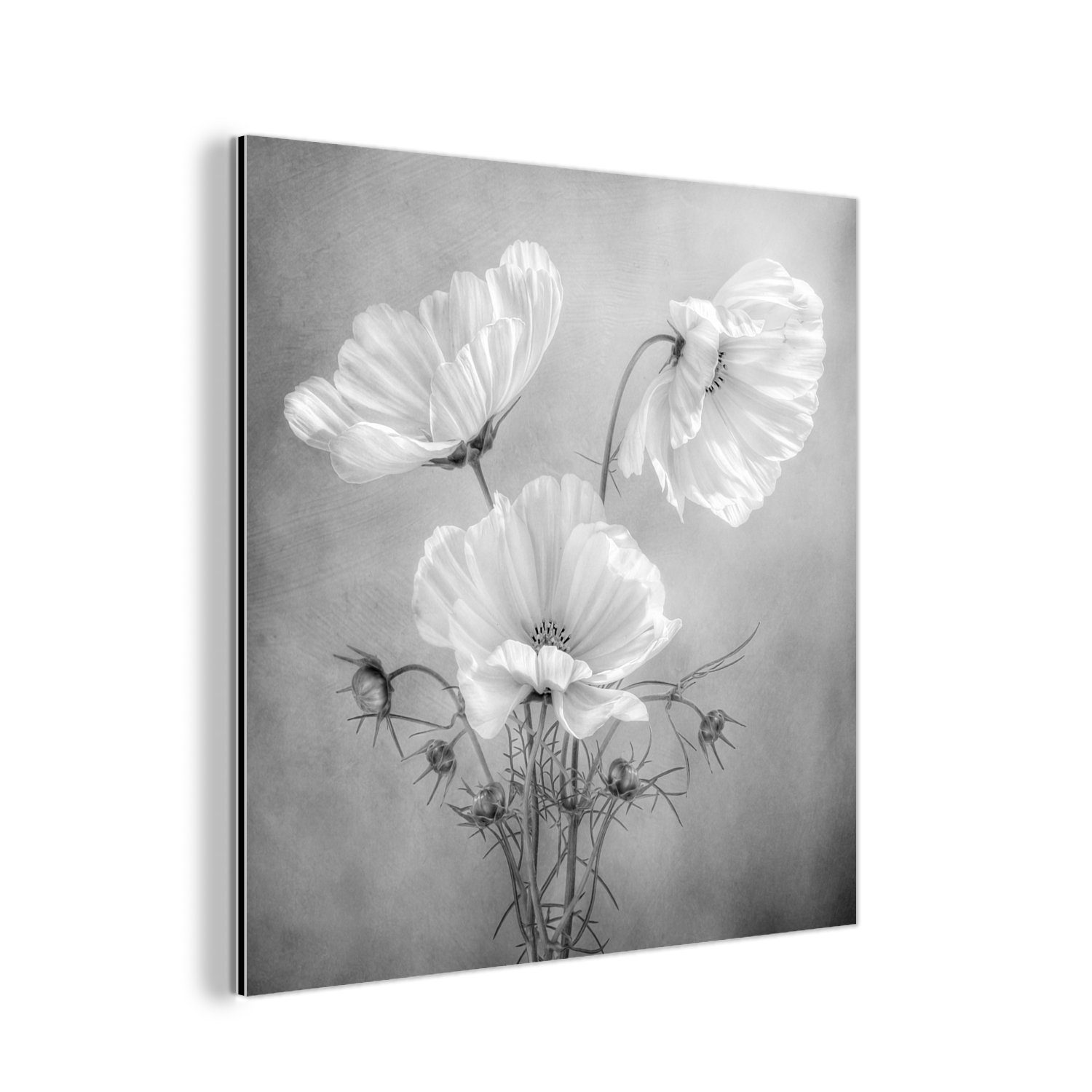 und St), Botanisch, weiß Metallbild - Schwarz Metall, aus deko - Gemälde Aluminium Mohn Stilleben (1 - MuchoWow Alu-Dibond-Druck, - Blumen