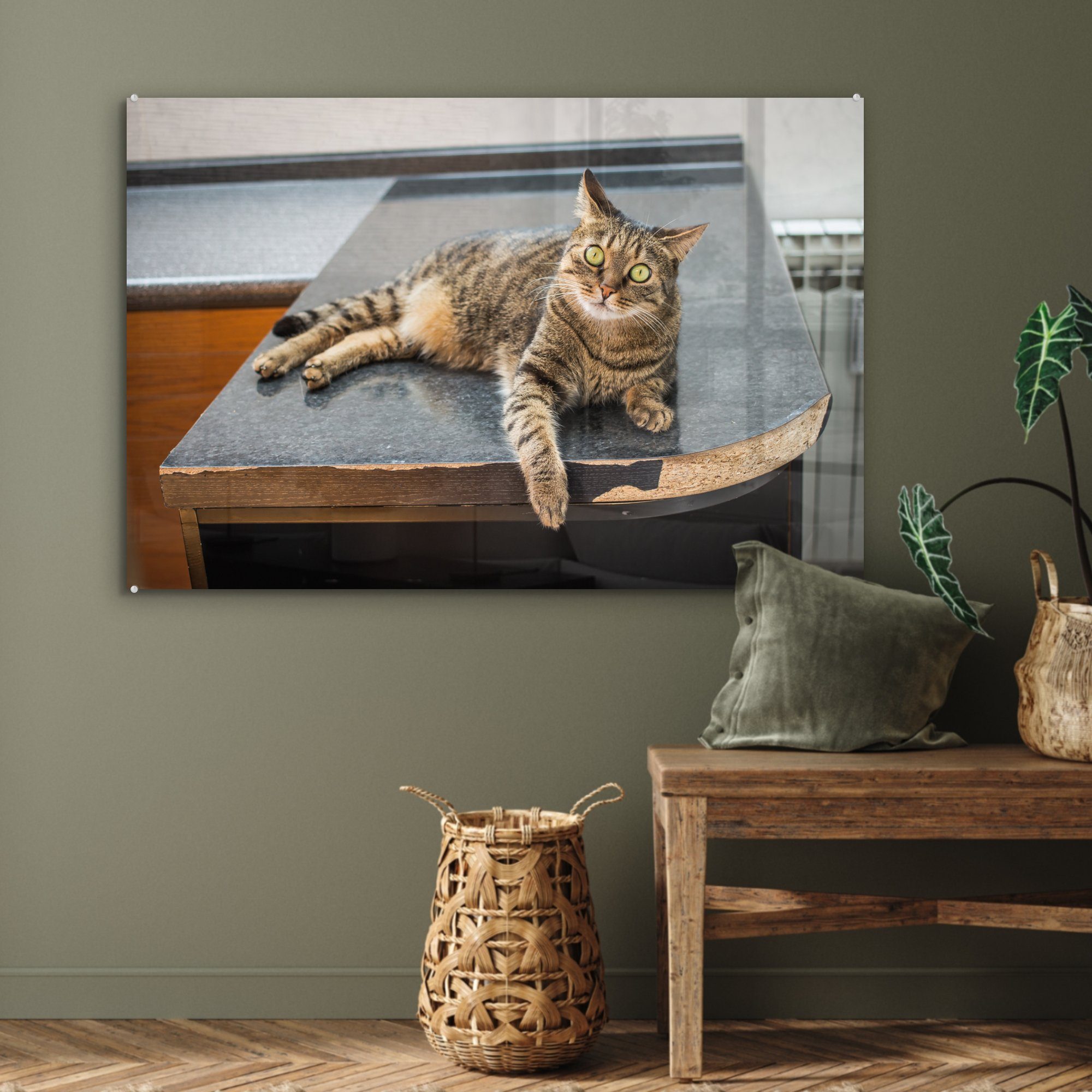 Schlafzimmer Eine liegend, St), (1 MuchoWow Tigerkatze & Wohnzimmer auf Holztisch einem Acrylglasbild Acrylglasbilder