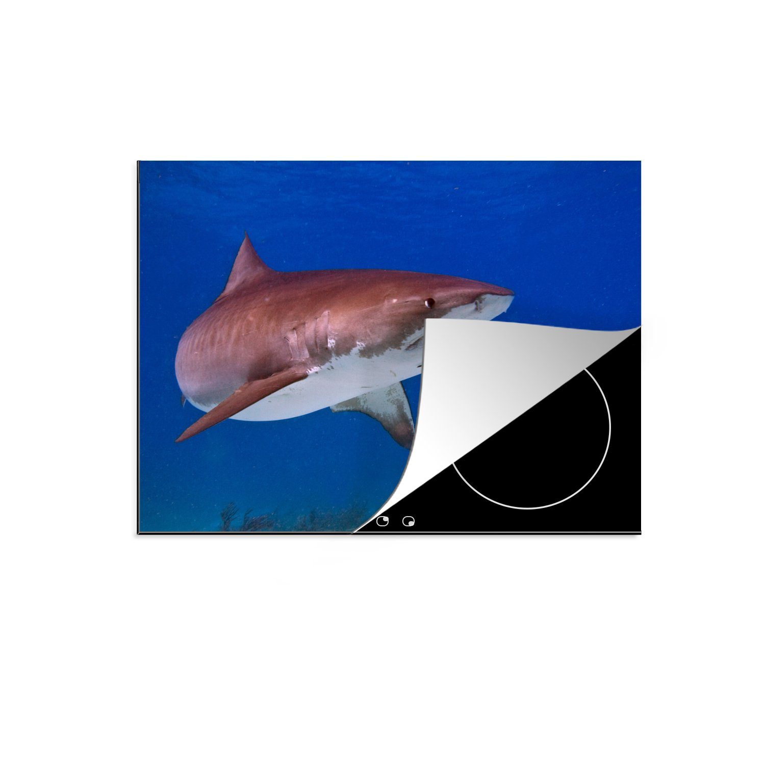 MuchoWow Herdblende-/Abdeckplatte Ein großer Tigerhai in einem dunklen Ozean, Vinyl, (1 tlg), 71x52 cm, Induktionskochfeld Schutz für die küche, Ceranfeldabdeckung