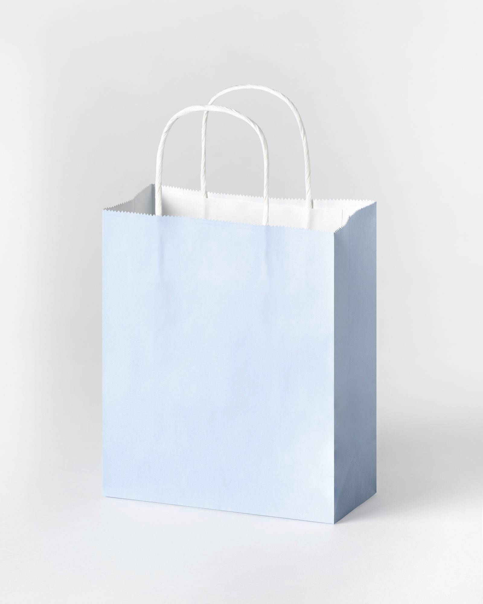 Folia Max Bringmann KG Geschenkbox Paper Bags Papiertüten (10 St., mit Henkel)
