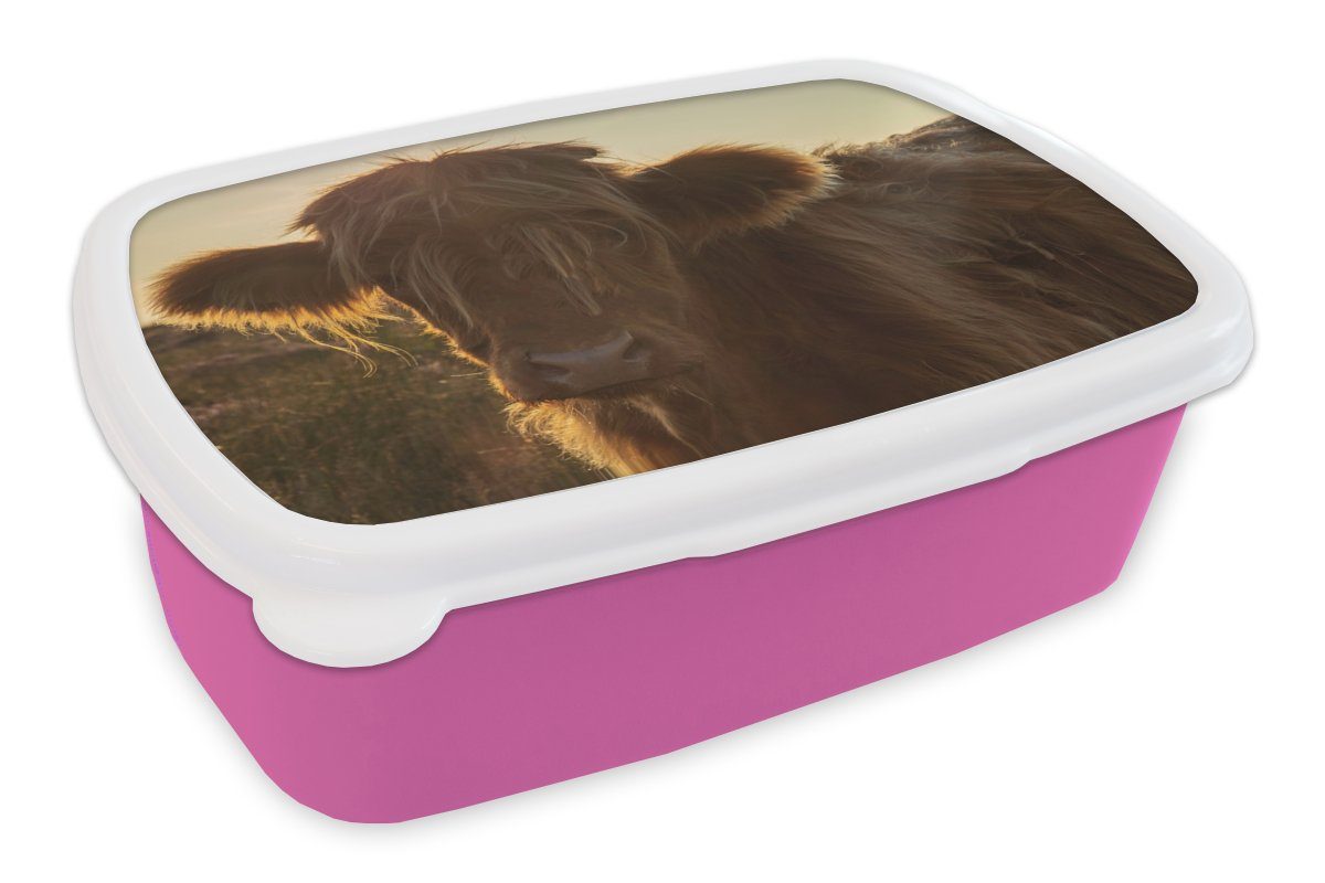 MuchoWow Lunchbox Schottischer Highlander - Sonnenuntergang - Gras, Kunststoff, (2-tlg), Brotbox für Erwachsene, Brotdose Kinder, Snackbox, Mädchen, Kunststoff rosa