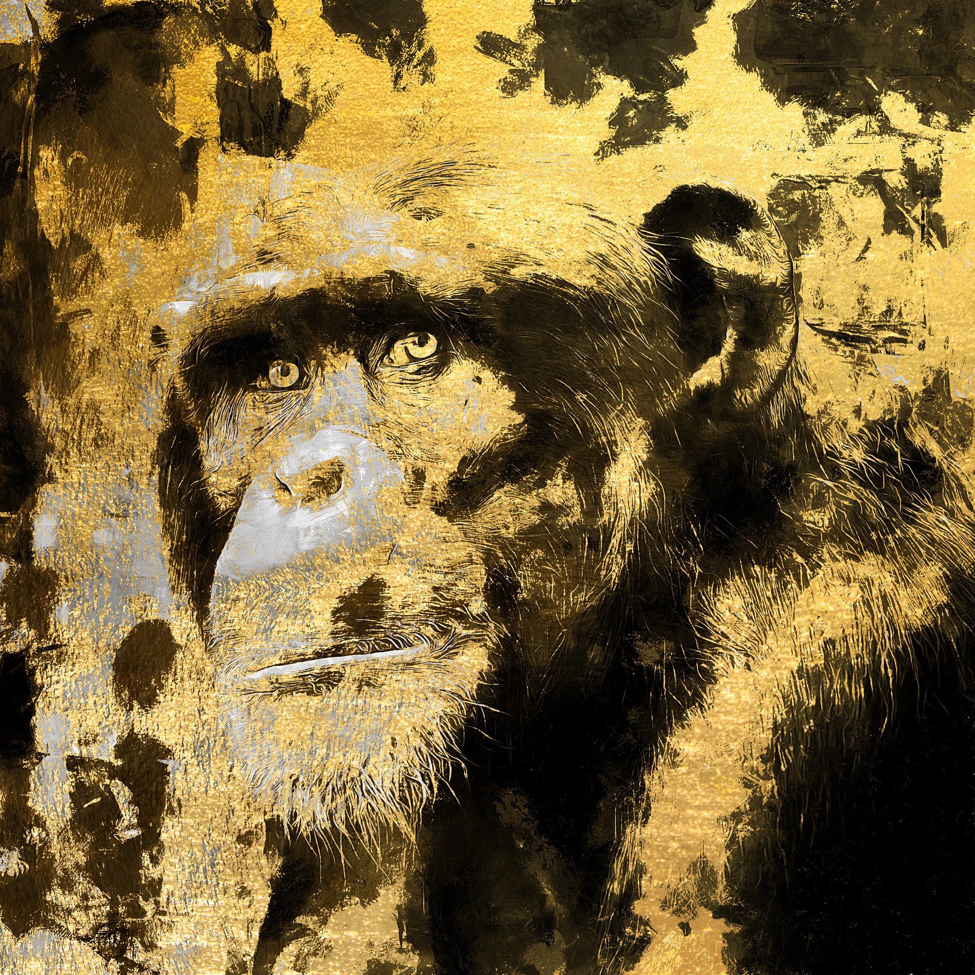versch. Gesicht 4 mit - Affe Bilder cm veredelt Blattgold 50x50 Acrylglasbild queence / (1 Goldveredelung 100x100cm - St), Affenmotive Motive/Größen,