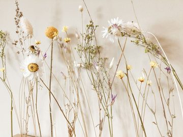 Trockenblume Flowerbar Sommerwiese, mit Wandhalterung, FlowerBar by Trockenblumen-Manufaktur