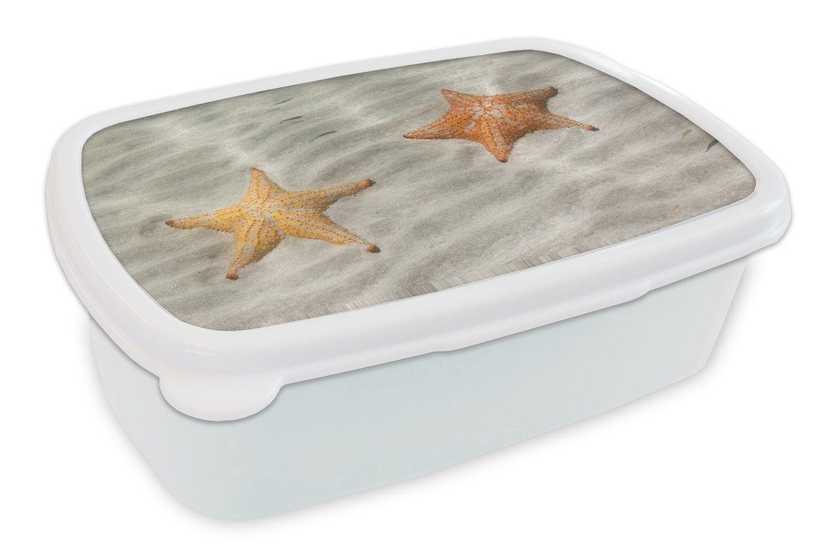 MuchoWow Lunchbox Seestern - Wasser - Strand, Kunststoff, (2-tlg), Brotbox für Kinder und Erwachsene, Brotdose, für Jungs und Mädchen weiß | Lunchboxen
