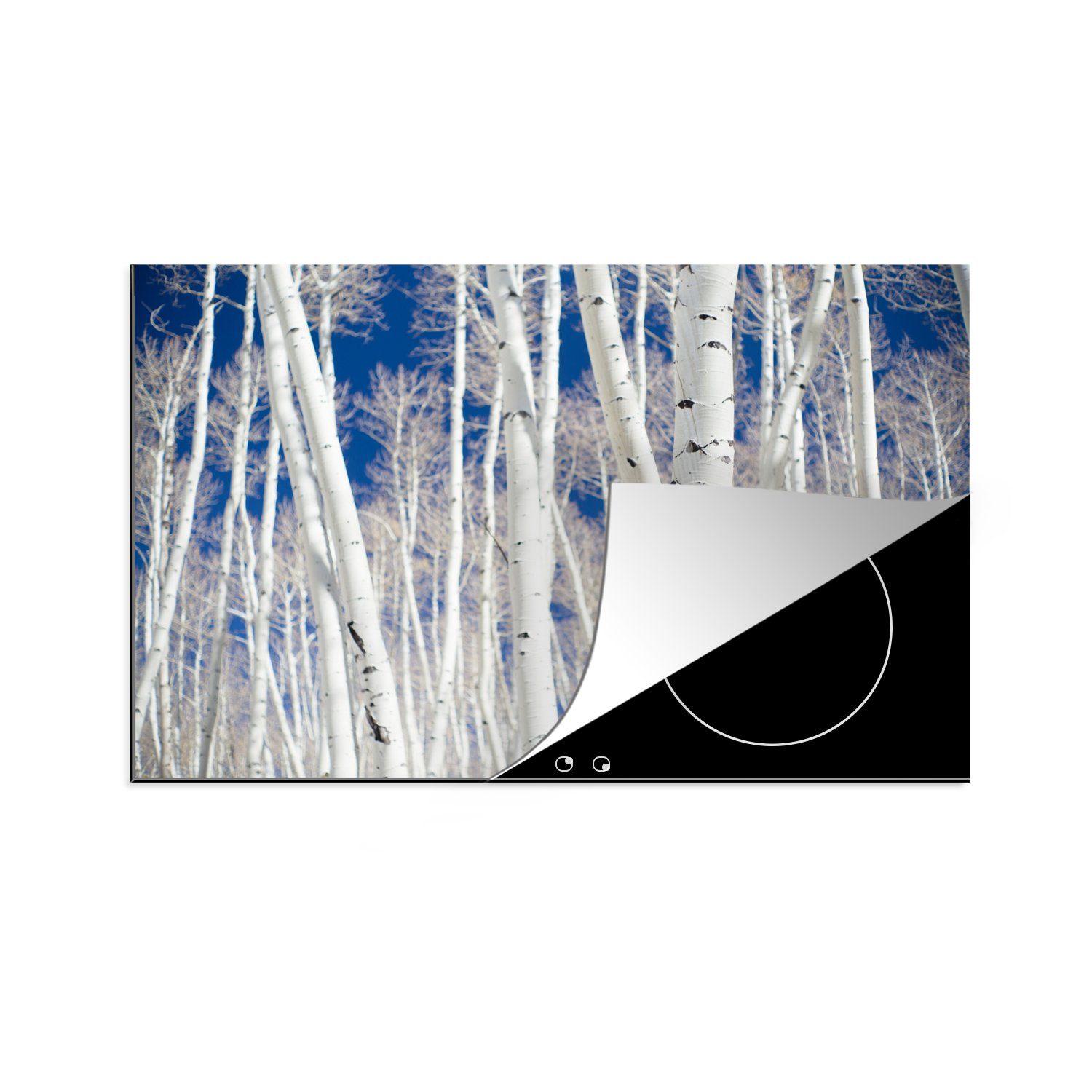 MuchoWow Herdblende-/Abdeckplatte Wald in Aspen mit Birken, Vinyl, (1 tlg), 81x52 cm, Induktionskochfeld Schutz für die küche, Ceranfeldabdeckung