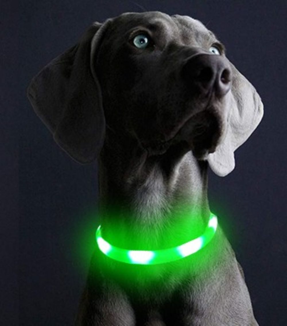 Illes-Laedchen Hunde-Halsband Hunde-Halsband LED Leuchtring Leuchthalsband günstig online kaufen