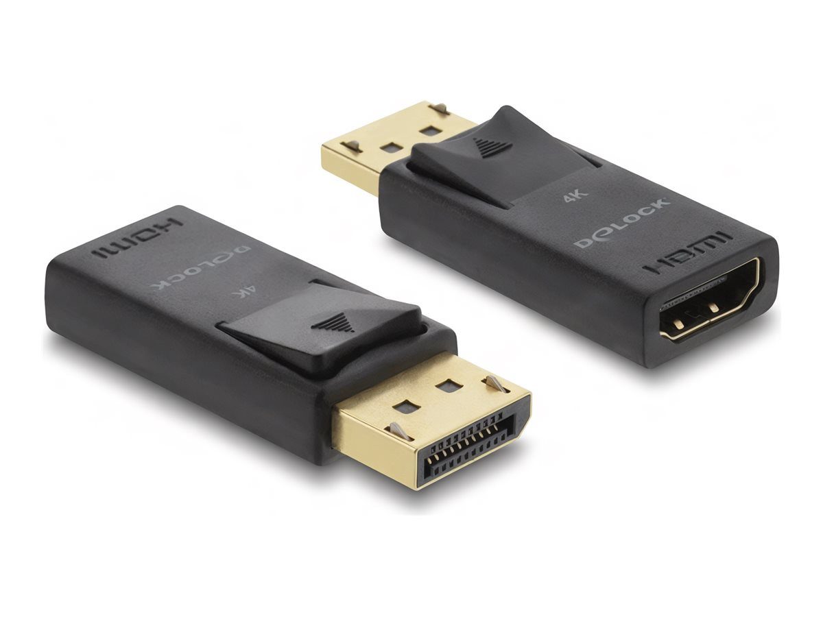 Delock Adapter